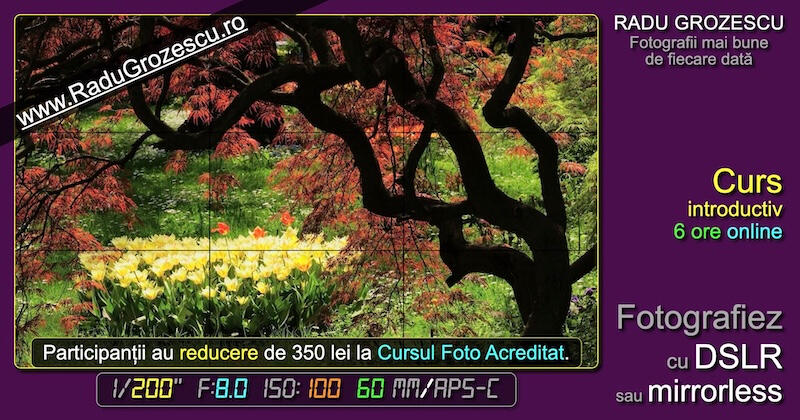 Curs foto introductiv, online, 6 ore