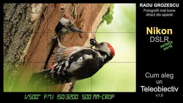 Ebook foto: Cum aleg un Teleobiectiv pentru Nikon DSLR